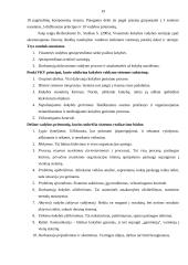 Privačios muzikinės organizacijos vadybiniai aspektai 18 puslapis