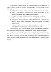 Privačios muzikinės organizacijos vadybiniai aspektai 19 puslapis