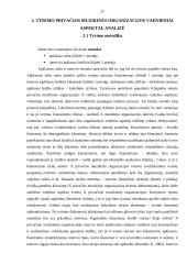 Privačios muzikinės organizacijos vadybiniai aspektai 20 puslapis