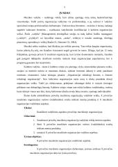 Privačios muzikinės organizacijos vadybiniai aspektai 4 puslapis