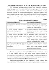 Privačios muzikinės organizacijos vadybiniai aspektai 6 puslapis