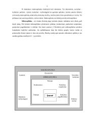 Rinkodaros aplinkos įtaka įmonės veiklai: UAB "Darmelita" 5 puslapis