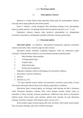 Rinkodaros aplinkos įtaka įmonės veiklai: UAB "Darmelita" 6 puslapis