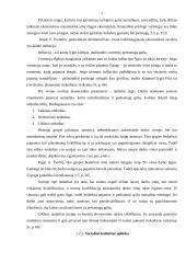 Rinkodaros aplinkos įtaka įmonės veiklai: UAB "Darmelita" 7 puslapis