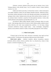 Rinkodaros aplinkos įtaka įmonės veiklai: UAB "Darmelita" 10 puslapis