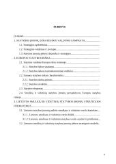 Smulkių ir vidutinių statybos įmonių strategijos formavimas 6 puslapis