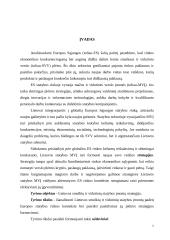 Smulkių ir vidutinių statybos įmonių strategijos formavimas 7 puslapis