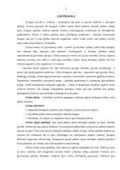 Socialinio pedagogo vaidmuo ugdant ekologinę kultūrą vaikų globos namuose 2 puslapis