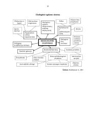 Socialinio pedagogo vaidmuo ugdant ekologinę kultūrą vaikų globos namuose 18 puslapis