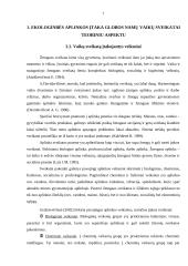 Socialinio pedagogo vaidmuo ugdant ekologinę kultūrą vaikų globos namuose 7 puslapis