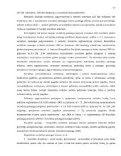Socialinių paslaugų prieinamumas pagyvenusiems žmonėms Radviliškio rajone 17 puslapis