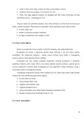 Vaikų higieninių įgūdžių formavimas priešmokyklinėje grupėje 19 puslapis