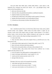 Vaikų higieninių įgūdžių formavimas priešmokyklinėje grupėje 20 puslapis