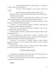 Vaikų higieninių įgūdžių formavimas priešmokyklinėje grupėje 10 puslapis