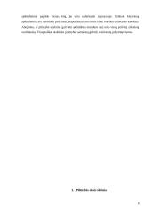 Vaikų pilietybės teisinis reguliavimas 11 puslapis