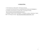 Kokybinis tyrinėjimas prieš kiekybinį tyrinėjimą 3 puslapis