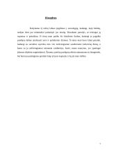 Mano įžvalgos ir potyriai socialinėje sąveikoje 6 puslapis