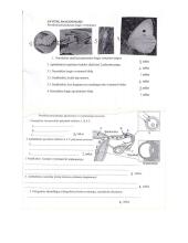 Augalų ir gyvūnų dauginimasis - testo atsakymai 4 puslapis