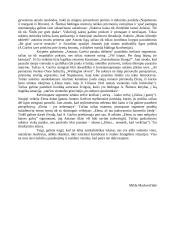 Antano Škėmos romano „Balta drobulė“ įvado interpretacija 2 puslapis