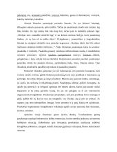 J. Biliūno kūrinio „Liūdna pasaka“ ištraukos interpretacija 2 puslapis
