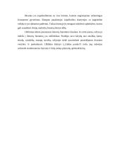 J. Biliūno kūrinio „Liūdna pasaka“ ištraukos interpretacija 3 puslapis