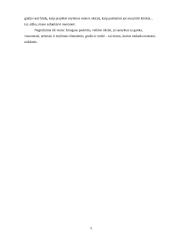 J.V. Gėtė "Faustas" analizė 5 puslapis