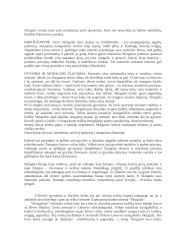 V. Krėvės-Mickevičiaus "Skirgaila" bei pagrindinio veikėjo charakteristika 2 puslapis
