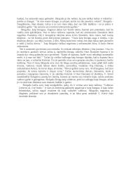 V. Krėvės-Mickevičiaus "Skirgaila" bei pagrindinio veikėjo charakteristika 4 puslapis