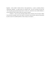 V. Mačernis "Antroji vizija" 2 puslapis