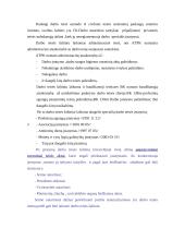 Darbo teisės šaltinių hierarchija 6 puslapis