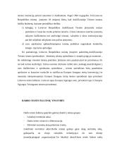 Darbo teisės šaltinių hierarchija 8 puslapis