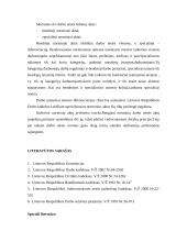 Darbo teisės šaltinių hierarchija 10 puslapis