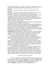 Grybų karalystės 2 puslapis