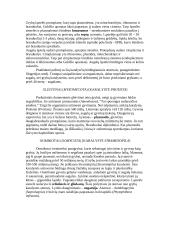 Grybų karalystės 3 puslapis