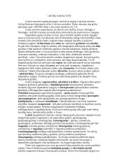 Grybų karalystės 4 puslapis