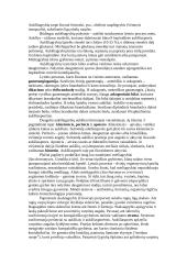 Grybų karalystės 6 puslapis