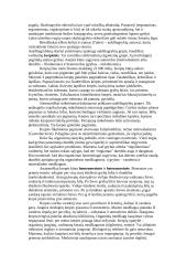 Grybų karalystės 7 puslapis