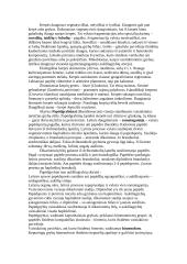 Grybų karalystės 8 puslapis