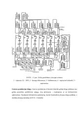 Grikių kruopų apdorojimas 7 puslapis