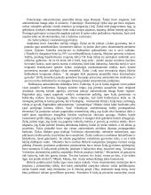 Modernusis antisemitizmas 3 puslapis