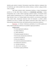 Tarptautiniai atsiskaitymai 13 puslapis