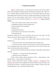 Tarptautiniai atsiskaitymai 3 puslapis