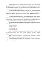 Tarptautiniai atsiskaitymai 4 puslapis