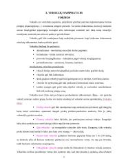 Tarptautiniai atsiskaitymai 7 puslapis