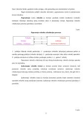 Tarptautiniai atsiskaitymai 8 puslapis