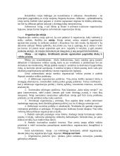 Verslo planavimo ir organizavimo paskaitų medžiaga 2 puslapis