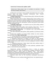 Verslo planavimo ir organizavimo paskaitų medžiaga 13 puslapis