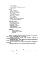 Verslo planavimo ir organizavimo paskaitų medžiaga 17 puslapis