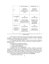 Verslo planavimo ir organizavimo paskaitų medžiaga 18 puslapis