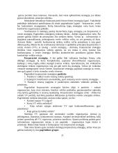 Verslo planavimo ir organizavimo paskaitų medžiaga 20 puslapis